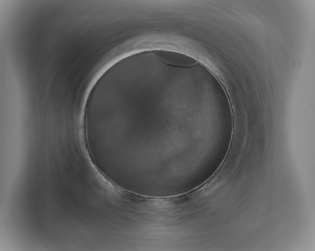 X0000112911536200908311227