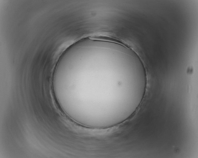 X0000112910001200909071546