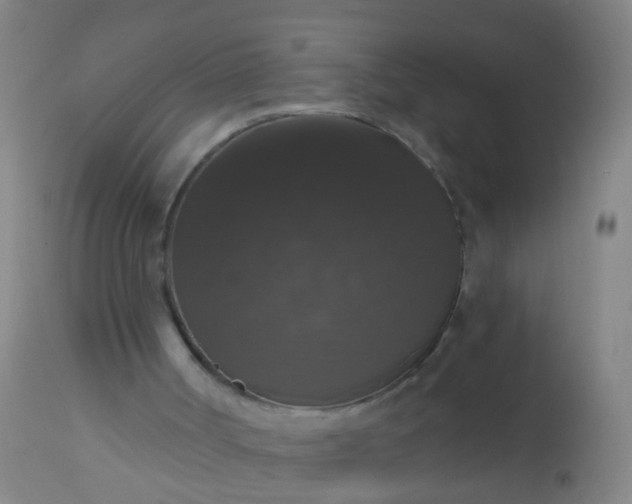 X0000112910002200909071546