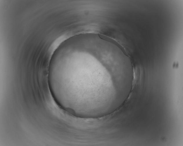 X0000112910003200909071546