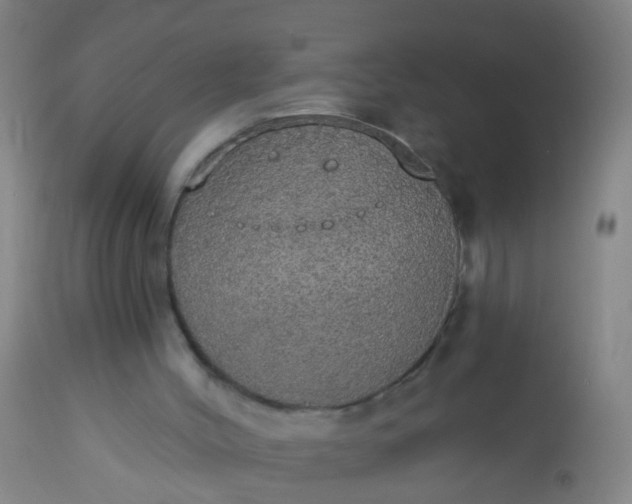 X0000112910004200909071546