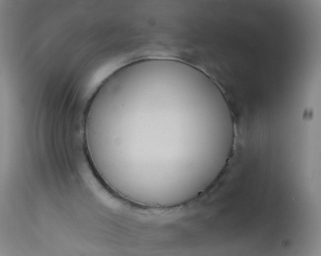 X0000112910005200909071546