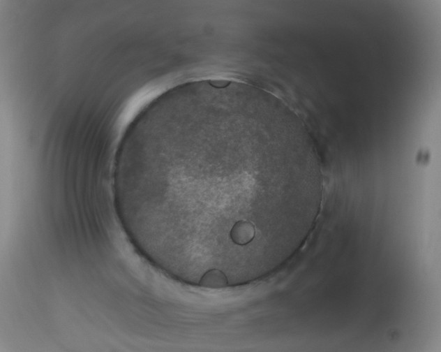 X0000112910006200909071546