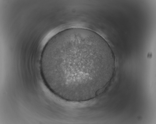 X0000112910007200909071546