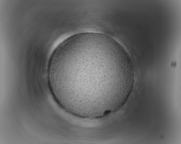 X0000112910008200909071546