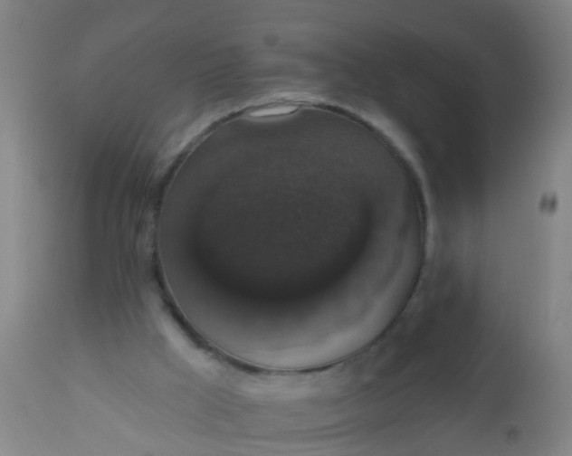 X0000112910009200909071546