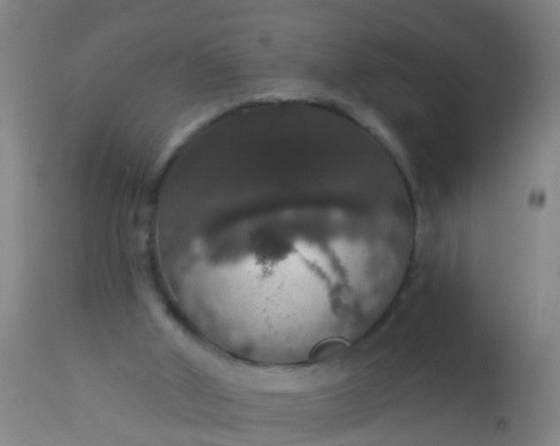 X0000112910010200909071546