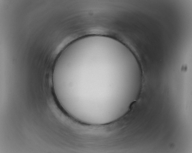 X0000112910011200909071546