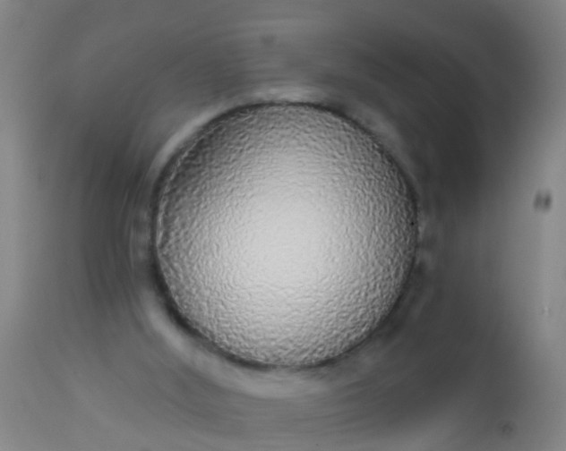 X0000112910012200909071546