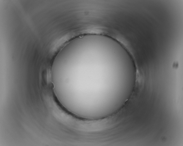 X0000112910013200909071546