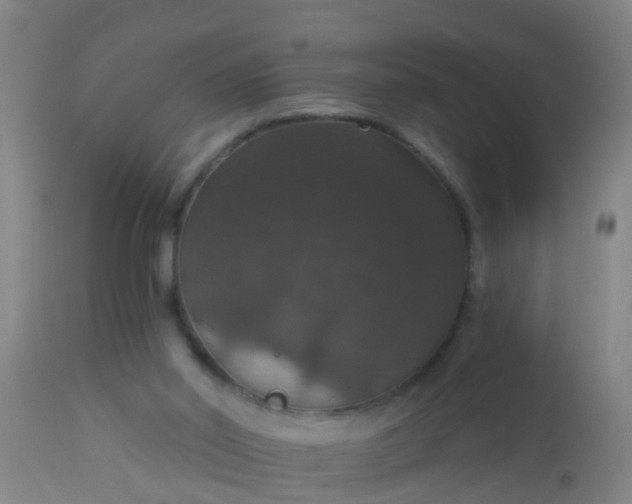 X0000112910014200909071545