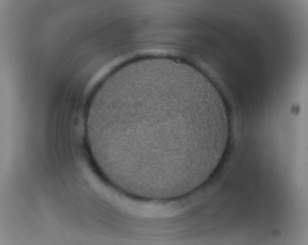 X0000112910016200909071545