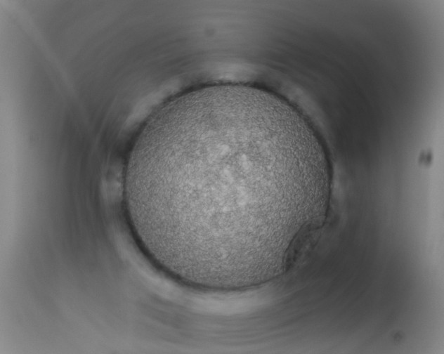 X0000112910017200909071545