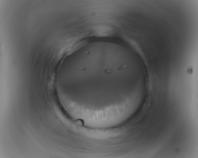 X0000112910018200909071545