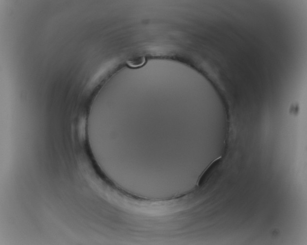 X0000112910019200909071545