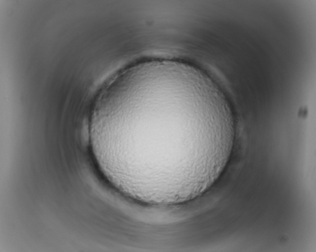 X0000112910020200909071545