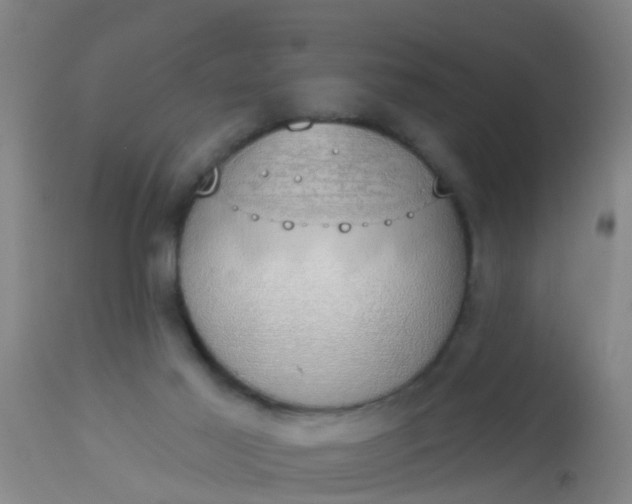 X0000112910021200909071545