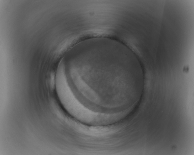 X0000112910022200909071545