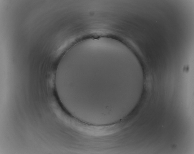 X0000112910023200909071545