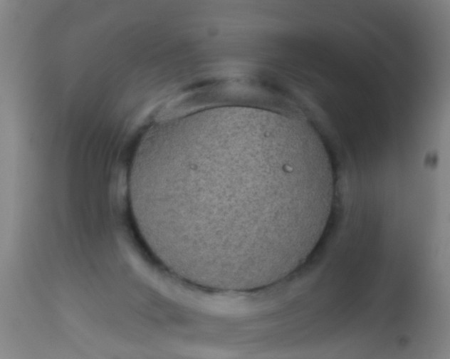 X0000112910024200909071545