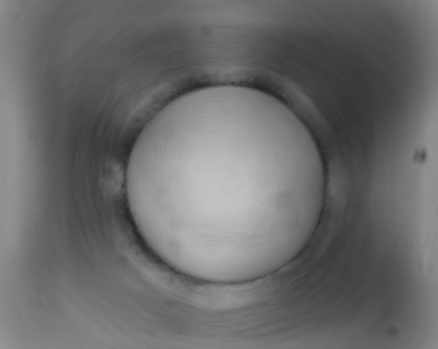 X0000112910025200909071545