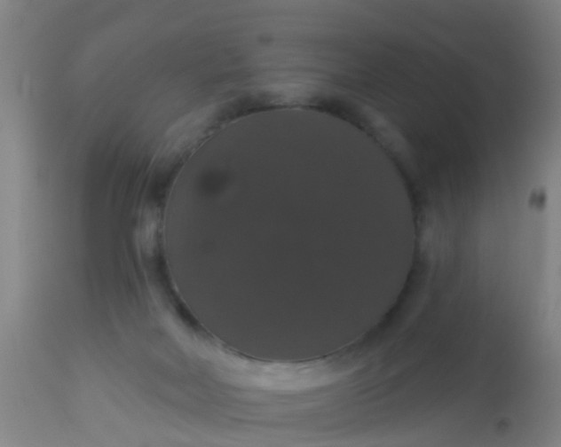 X0000112910026200909071545