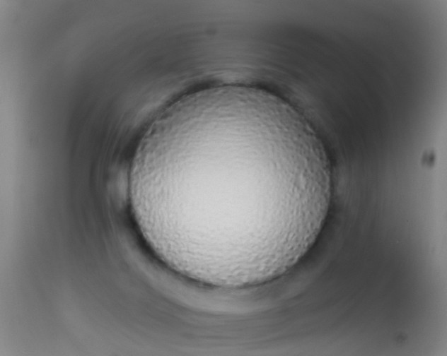 X0000112910028200909071545