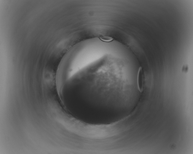 X0000112910029200909071545