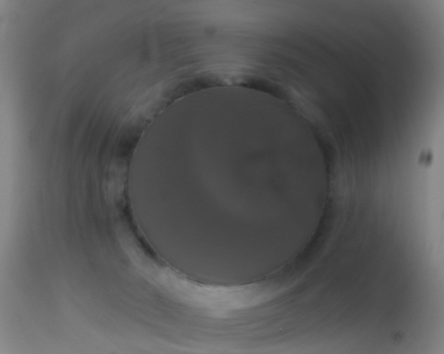 X0000112910030200909071545