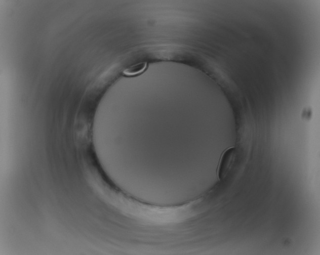 X0000112910031200909071545