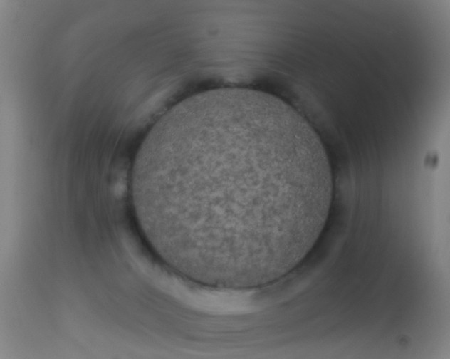 X0000112910032200909071545