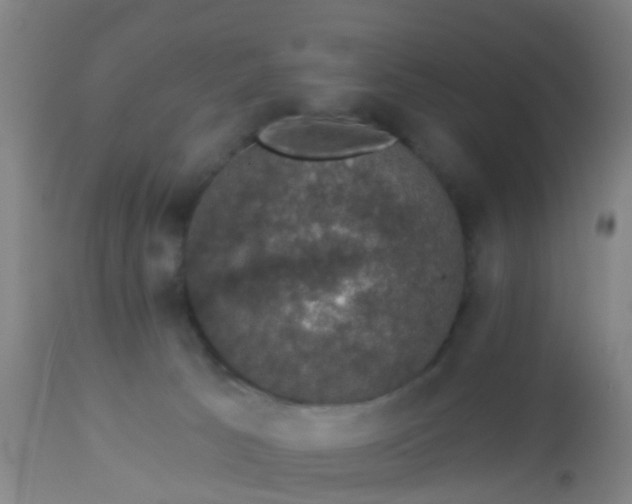 X0000112910033200909071545