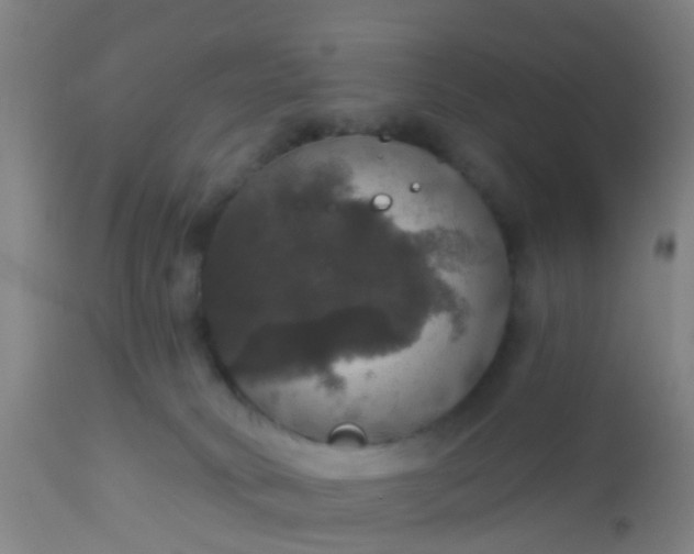 X0000112910034200909071545