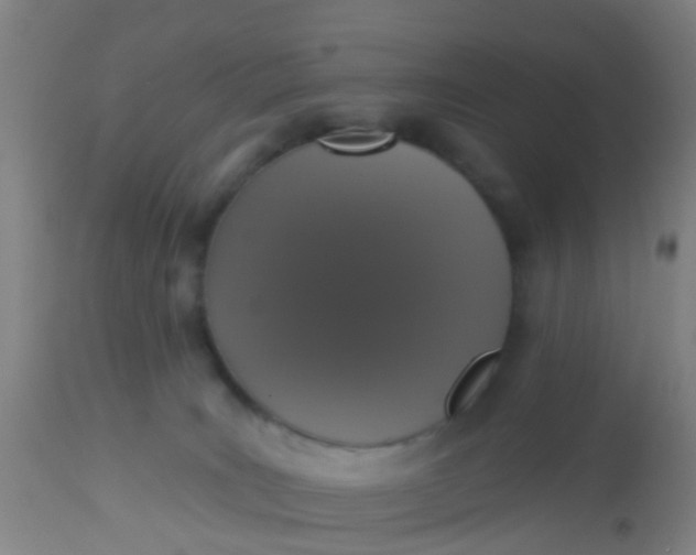 X0000112910035200909071545