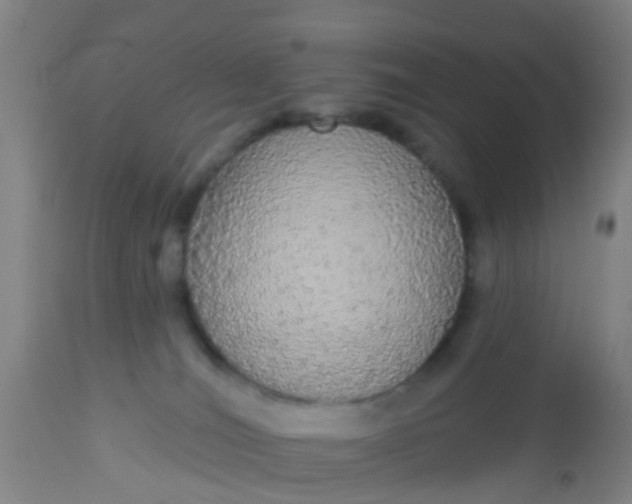 X0000112910036200909071545