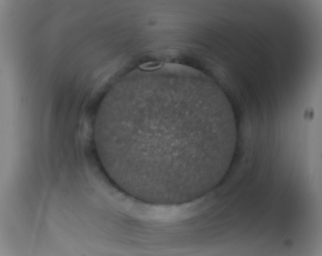 X0000112910037200909071545