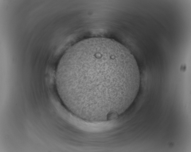 X0000112910038200909071545