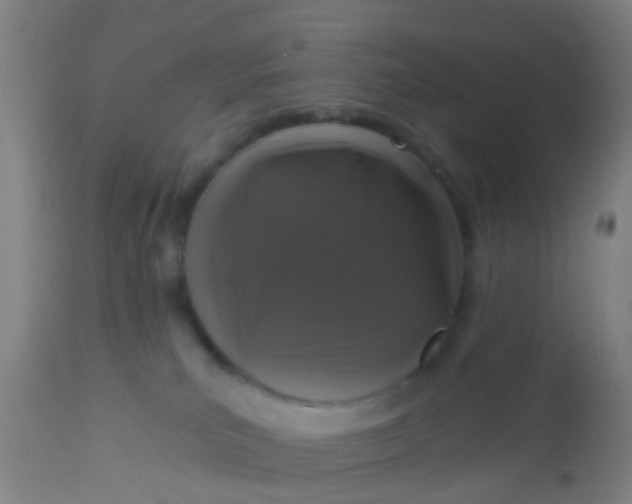 X0000112910039200909071545