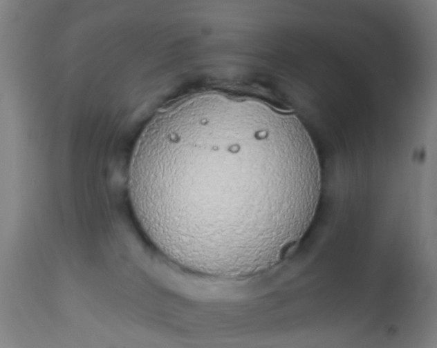 X0000112910040200909071545