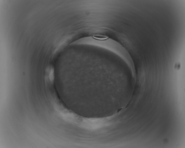 X0000112910041200909071545