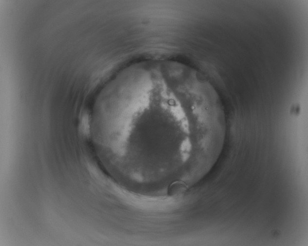 X0000112910042200909071545