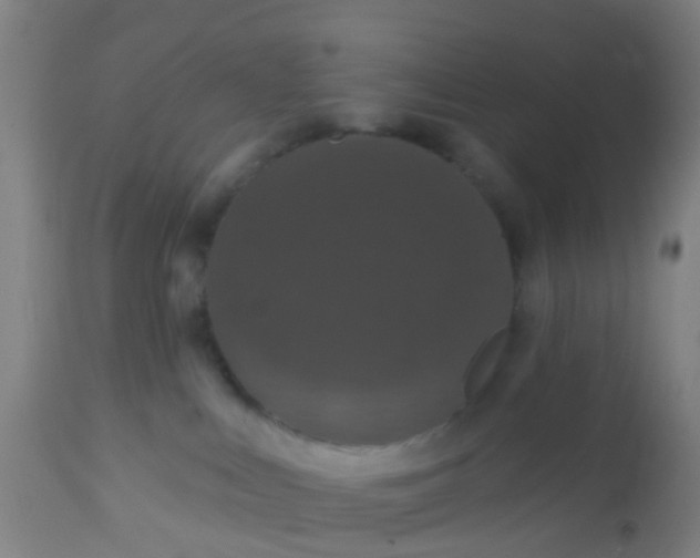 X0000112910043200909071545