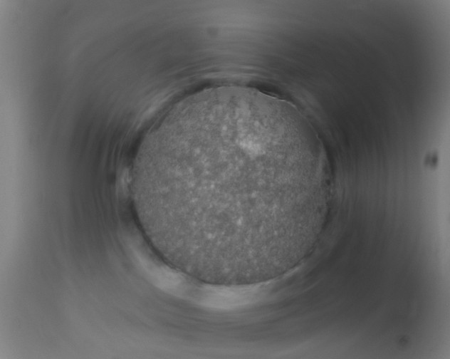 X0000112910045200909071545