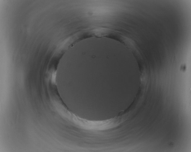 X0000112910046200909071545