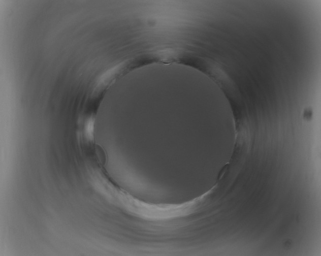 X0000112910047200909071545