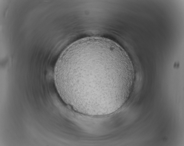 X0000112910048200909071545