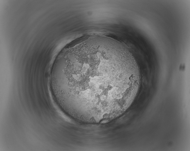 X0000112910049200909071544