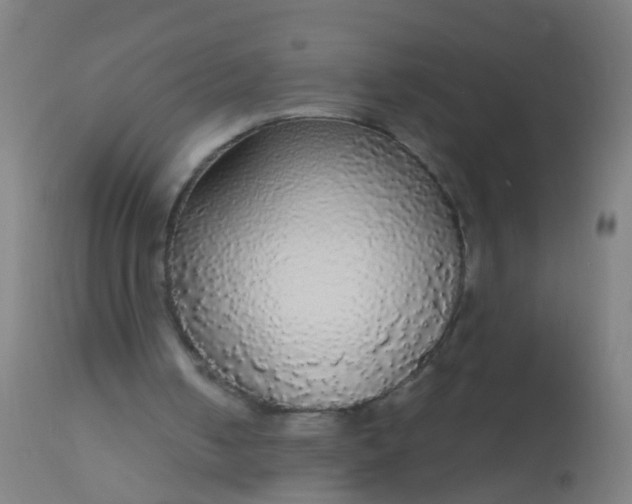 X0000112910050200909071544