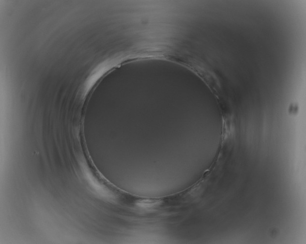 X0000112910051200909071544