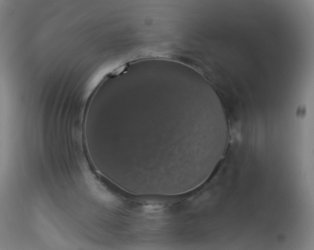 X0000112910052200909071544